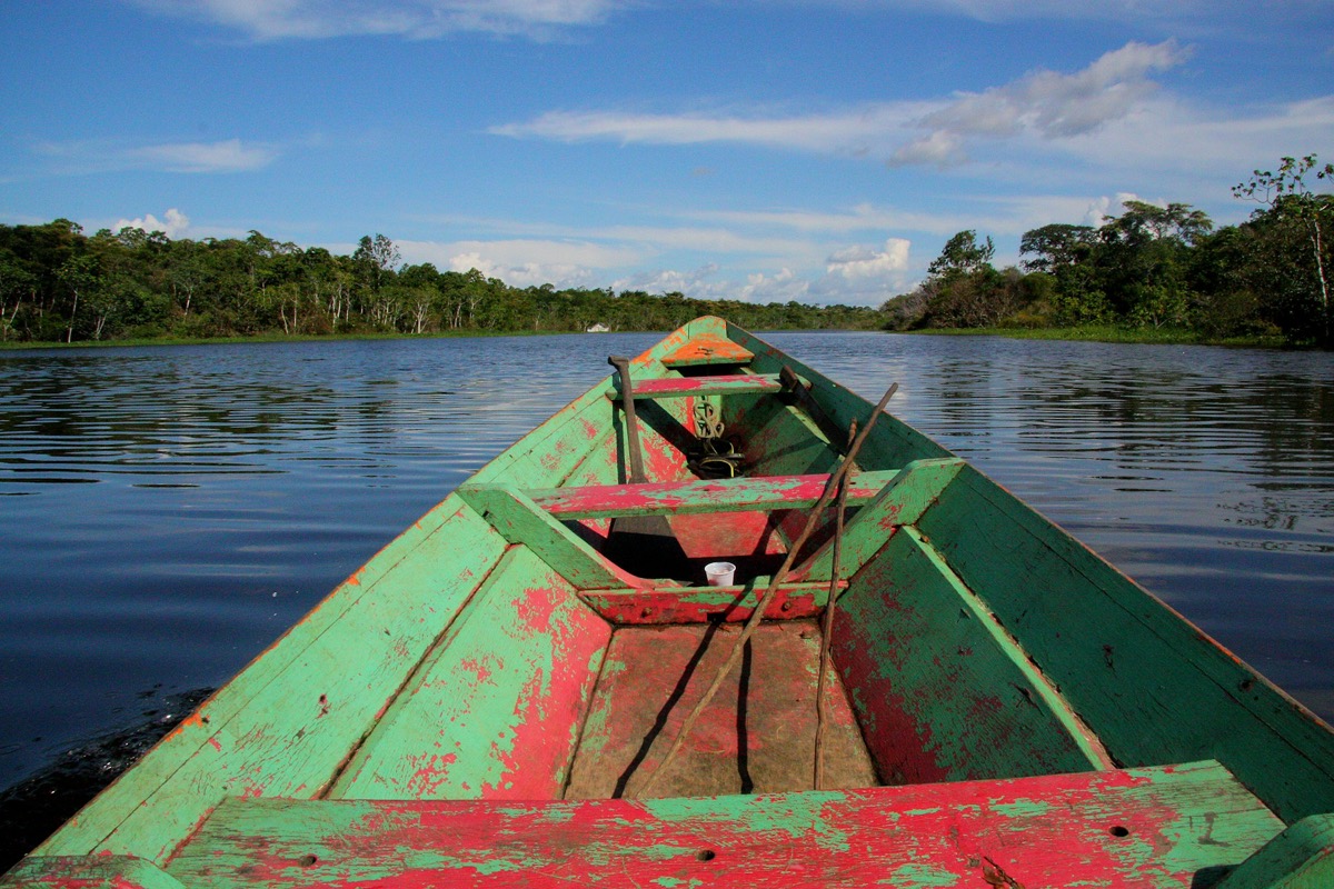 The vast Amazon rainforest, home to thousands of medicinal plant species