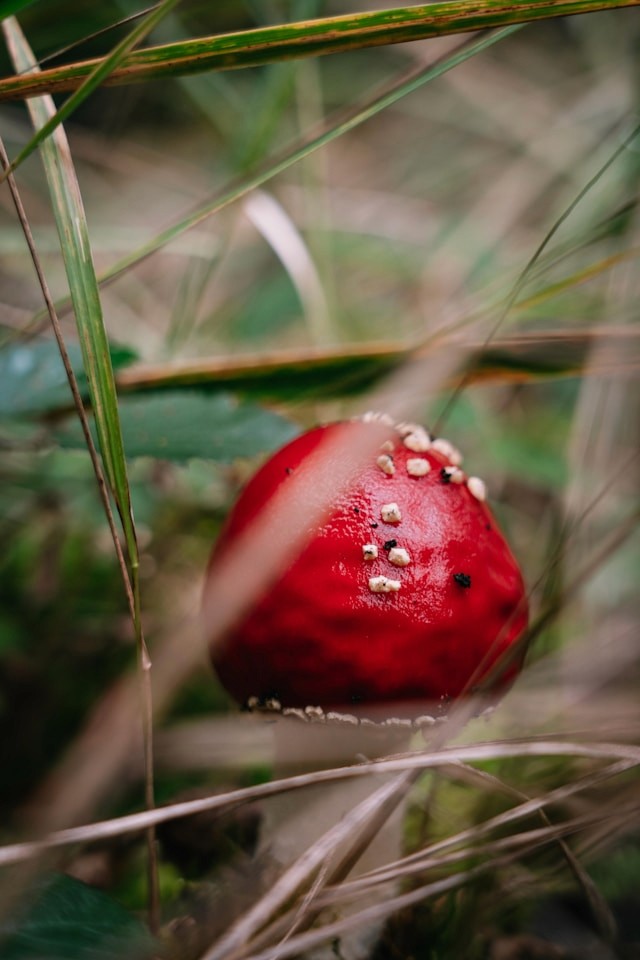 Knowledge resources for healing and personal growth