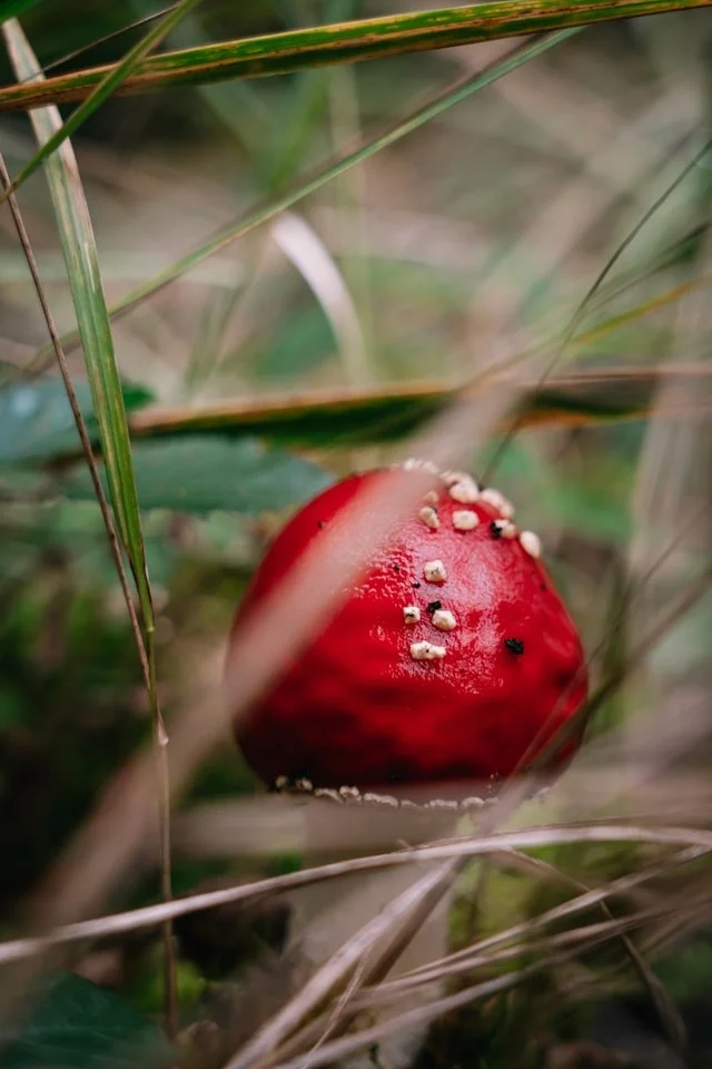Knowledge resources for healing and personal growth